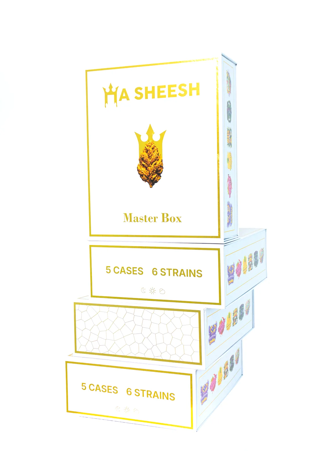 A HaSheesh Master Box stacked with four cases, each marked five cases and six strains