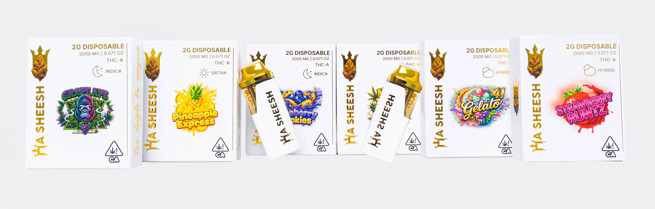HaSheesh packaging and pens